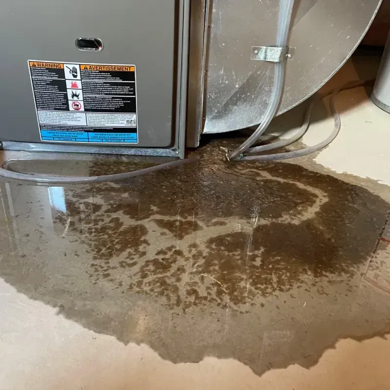 Appliance Leak Cleanup in Brooke County, WV